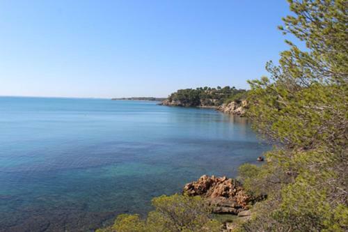 Apartamento R�stico-moderno Ap Origens III