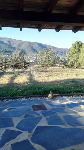 Casa Penelas, Petin