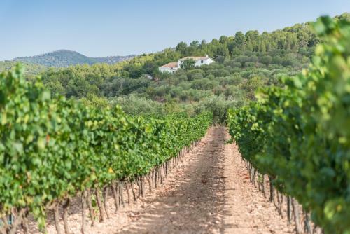 Agroturismo Maset De La Costa
