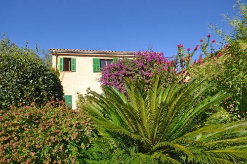 Villa Sonrisa