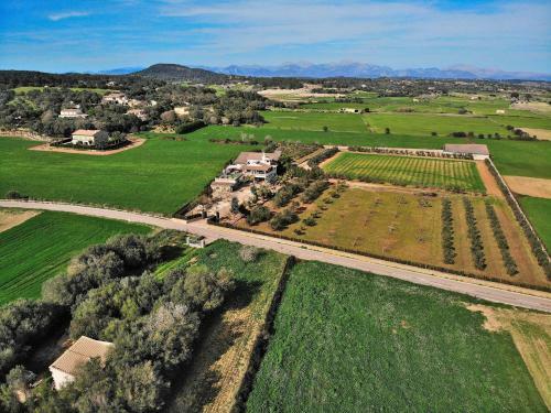 Son Perxa Finca Petra 216