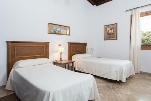 Villa El Palmeral