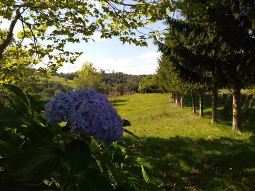 Agroturismo La Casona De Sovi�a
