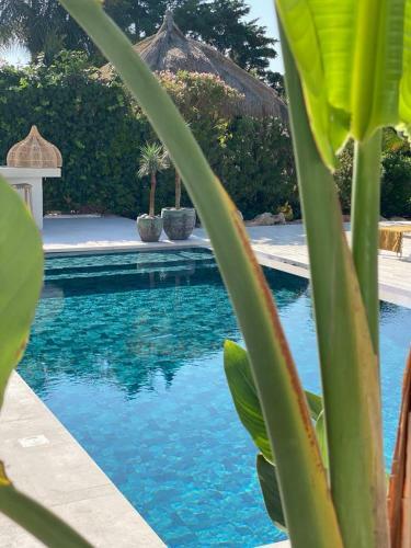 Whitekey Villa Cyprus