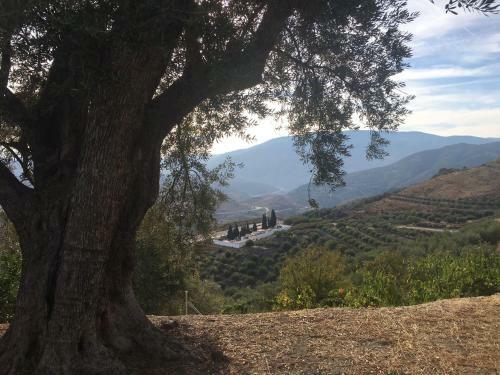 Apartamento Jardin Andaluz Veleta