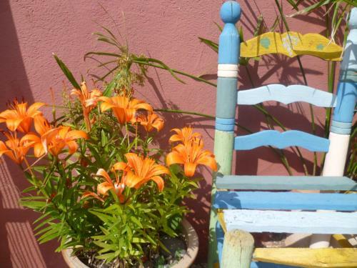 Casa Rural Full House Rental