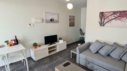 Nissi Twins Apartments