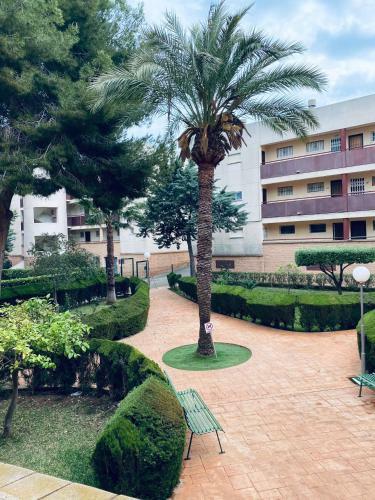 Apartamento Mil Palmeras