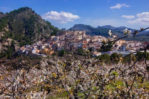 Apartamento Ca Dioniso
