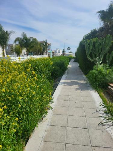 Georgimaria Azure Luxury Sea Villa