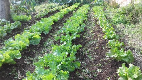 Agroturismo Cal Sadurn�