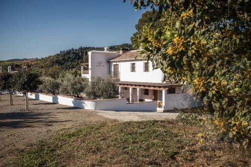 Casa Grande / Rosas Cantares