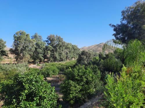 Bed & Breakfast Casa Dilica