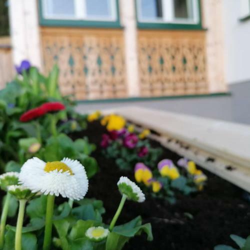 Apartamento Ferienwohnungen Kalss Nahe Altaussee