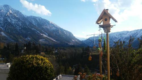 Apartamento Ferienwohnung "kaiserblick"