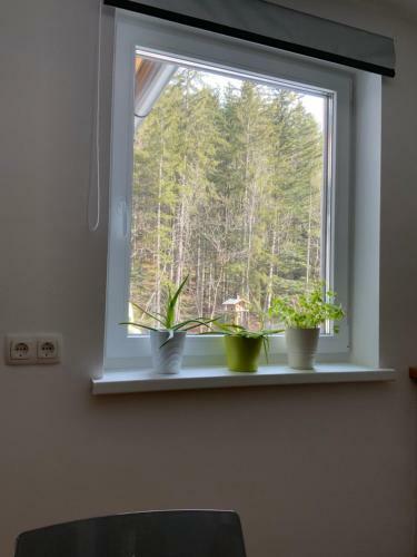 Apartamento Ferienwohnungen An Der Grundlseer Traun