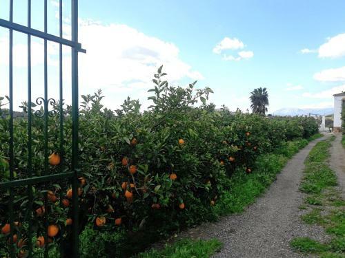 Agroturismo Casa Rural La Estrella
