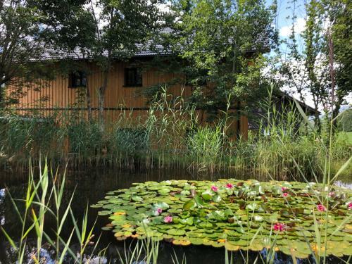 Apartamento Ausseer Chalet (Nahe Hallstatt), Appartements