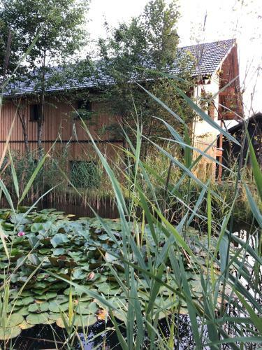 Apartamento Ausseer Chalet (Nahe Hallstatt), Appartements