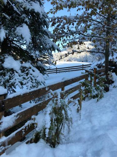 Apartamento Ausseer Chalet (Nahe Hallstatt), Appartements