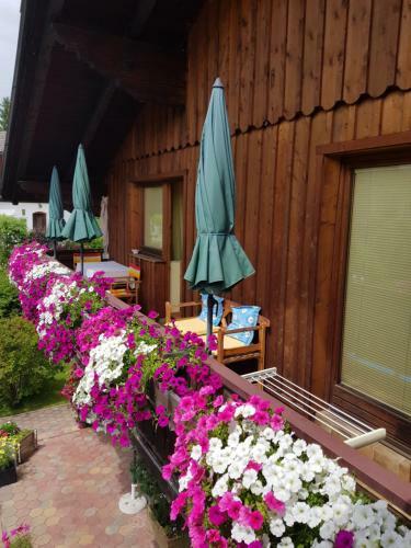 Apartment Familie Haupt