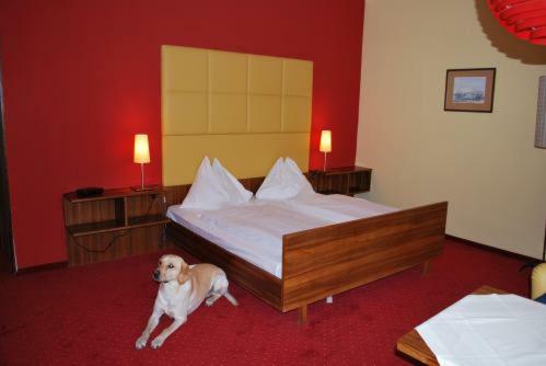 Hotel Drei Hasen