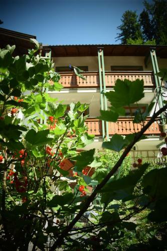 Naturidyll Hotel Hammerschmiede