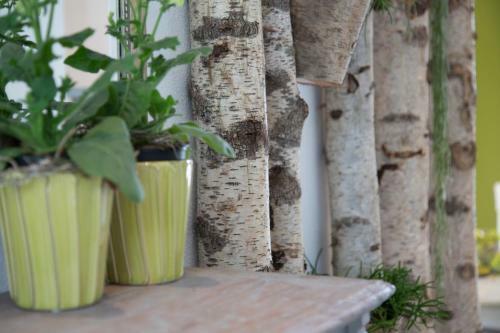 Apartamento Landvilla Pia