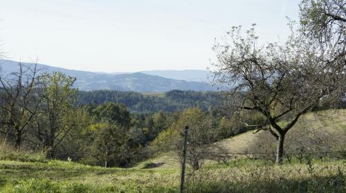 Apartamento Landvilla Pia