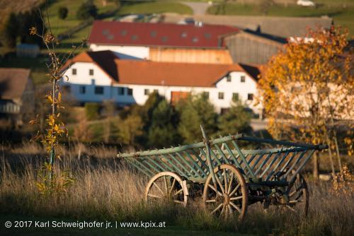Faulenzerhotel