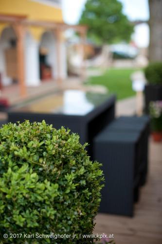 Faulenzerhotel