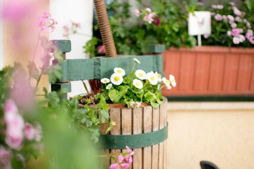 Hostal Der Winzerhof