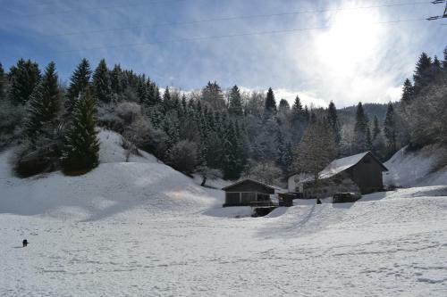 Hostal Pension Waldrast