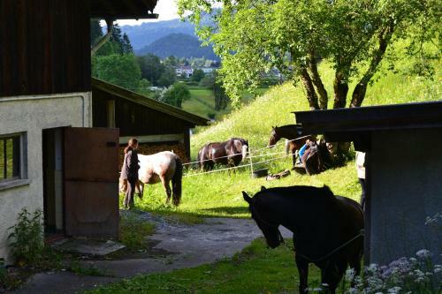 Hostal Pension Waldrast