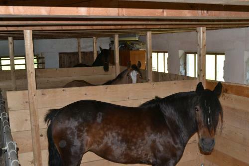 Hostal Pension Waldrast