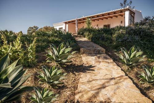 Rosas Cantares: Casa Siri