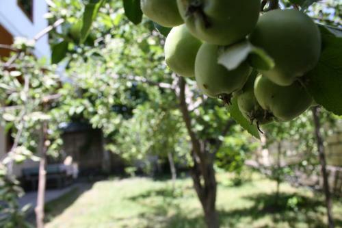 Apartamento Heart Of Gabala