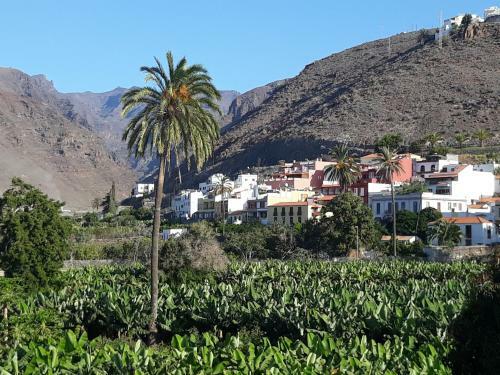 Apartamento Los Olivos