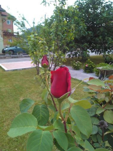 Casa Con Jardin