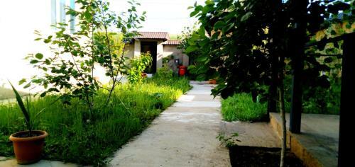 Villa Dom Semya
