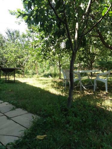Apartamento Qusar Holiday House