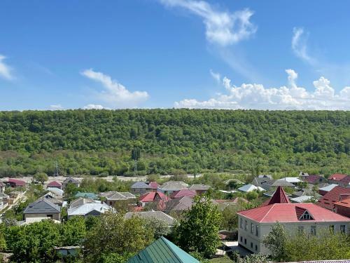 Ilk Inn Hotel