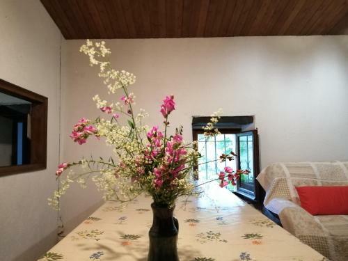 Can Cam�s Natura