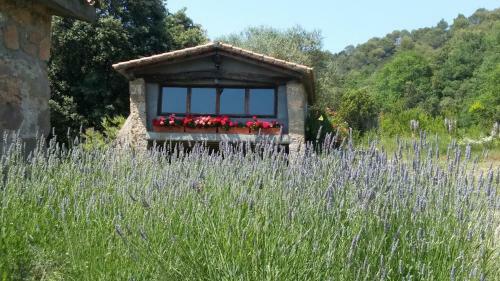 Can Cam�s Natura