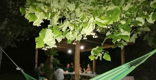 Can Cam�s Natura