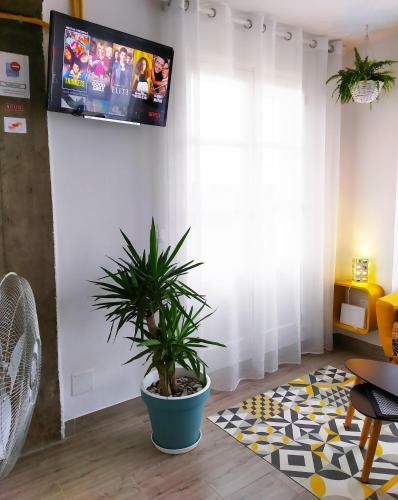 Apartamento Xoxo - Castillo