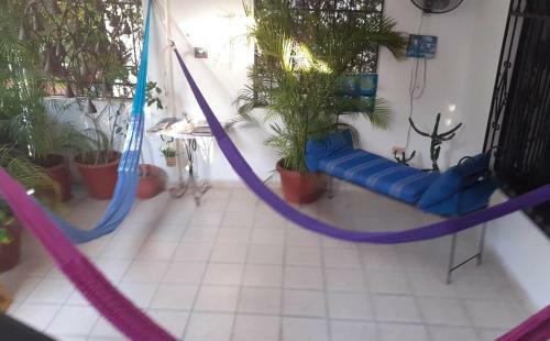 Casa Yula_cancun