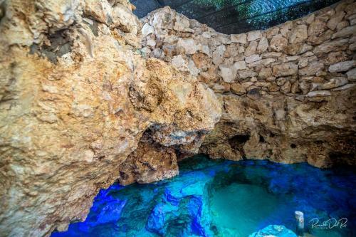 Azcapri Villa Boutique & Spa #2 Delf�n