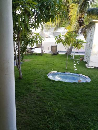 Experiencia Hol�stica