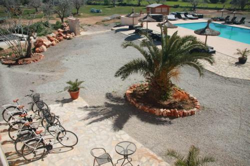 Hotel Ollymar - Swinger Friendly